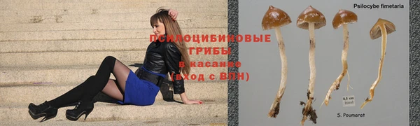 jwh Баксан