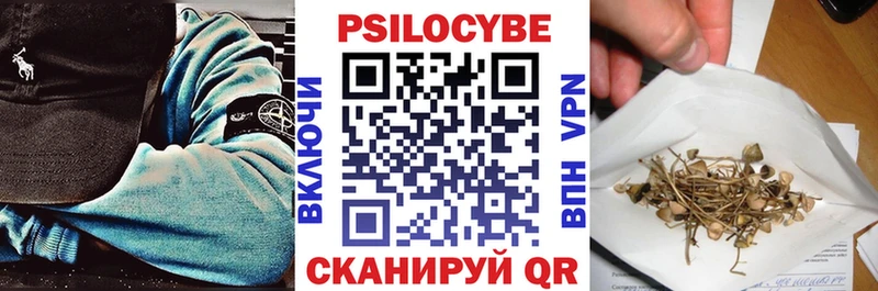 купить Володарск Галлюциногенные грибы мицелий